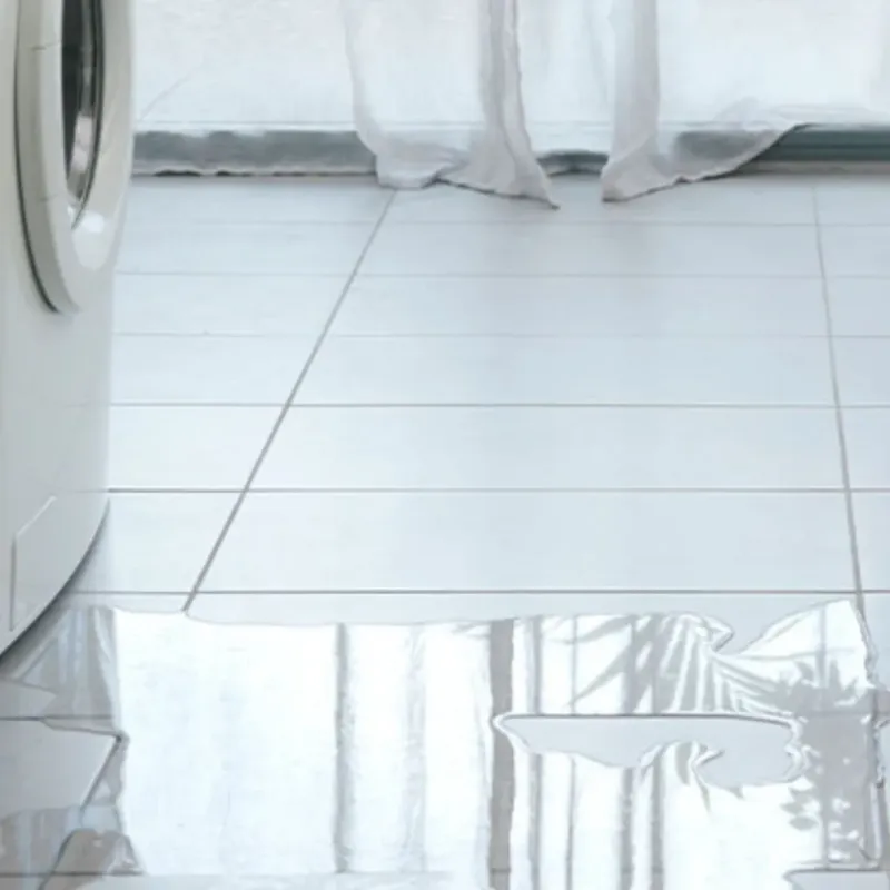 Appliance Leak Cleanup in Midpines, CA