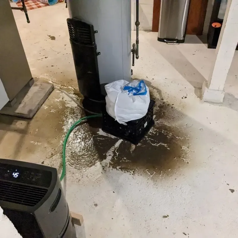 Sewage Backup Cleanup Service in Midpines, CA